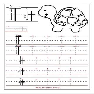 PW3寒假Lesson1单词