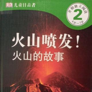 DK儿童目击者：火山的故事