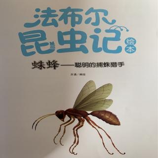 法布尔昆虫记--蛛蜂