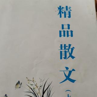 《踏雪寻梅》胥智慧20200112