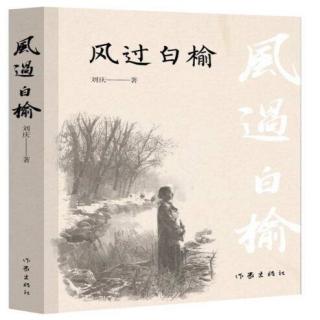 小说《风过白榆》2