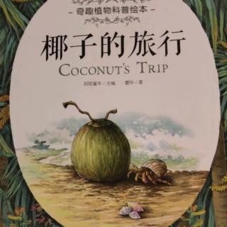 椰子的旅行