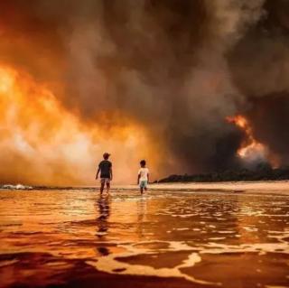 澳洲大火背后真相令人绝望