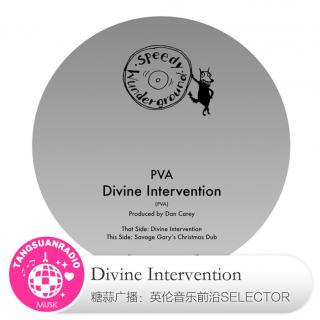 Divine Intervention·糖蒜爱音乐之The Selector