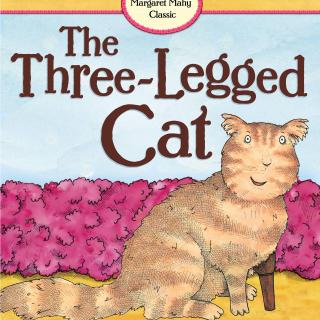 2020.01.13-The Three Long Legged Cat