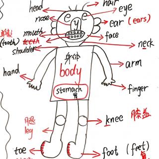 思维导图词汇（一）第三节课录音