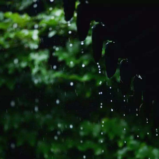 江南的雨—史诺