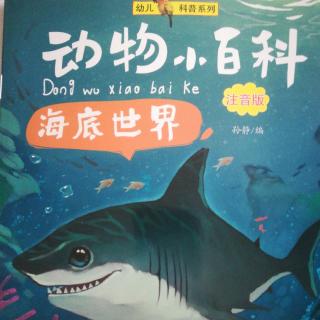 海底世界考试