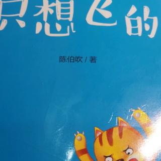 一只想飞的猫（四）