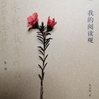 朱永新《我的阅读观》引言：什么是阅读（来自FM139642458)