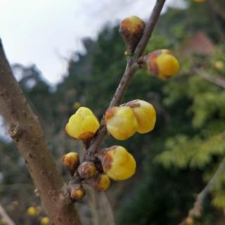 《所有遇见的问题，我都能解决》（幸福祈祷文第14天）