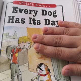 Every Dog Has its Day