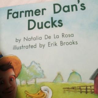 Farmer Dan's Ducks