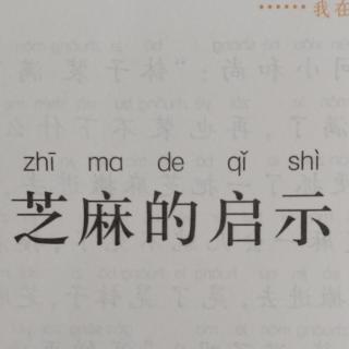 《芝麻的启示》