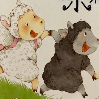 小白羊和小黑羊