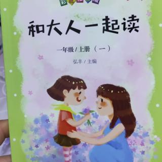 萤火虫找朋友  孙幼军