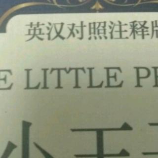 THE    LITTLE   PRINCE