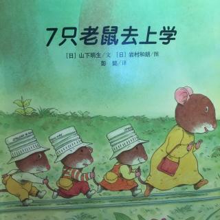 硕&淅妈咪绘本《7只老鼠去上学》