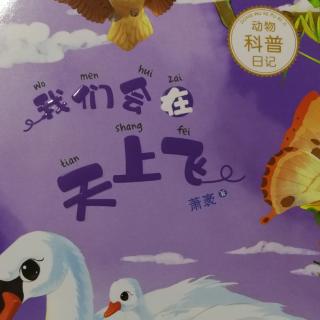 我们会在天上飞之蝴蝶日记