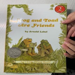 Frogfriend-day4