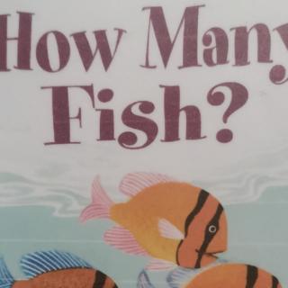 D3-How many fish