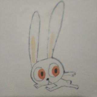 小小兔🐰