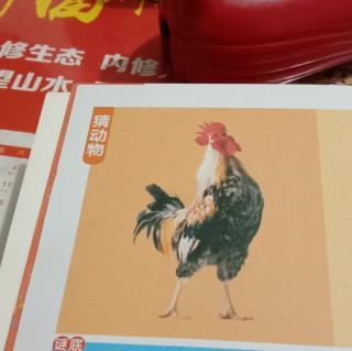 猜动物，谜底:🐓