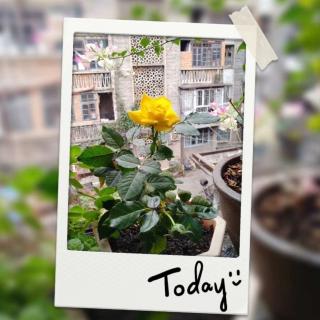 新概念英语第一册L91课文录音