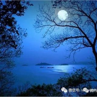 夜 轻点再轻 漂流瓶