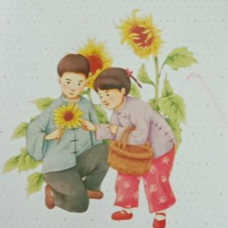 《青铜葵花》芦花鞋(4)21页一24页