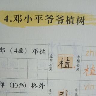 4.邓小平爷爷植树。
