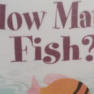 D4-How many fish