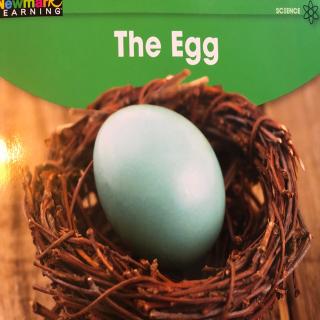 Newmark-The egg