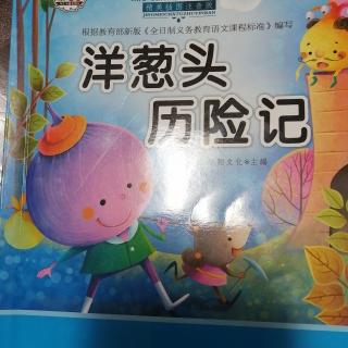 洋葱头历险记自讨苦吃的番茄骑士1月16日