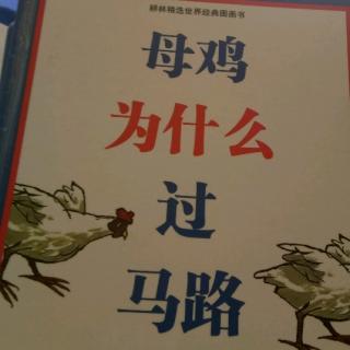 《母鸡为什么过马路》