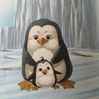 小企鹅和爸爸