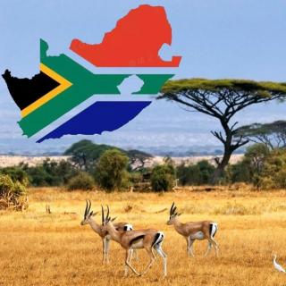 6. 国家：你知道的南非与你不知道的南非