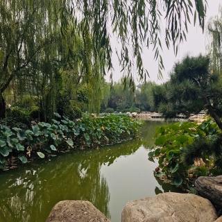 《饮湖上初晴后雨》