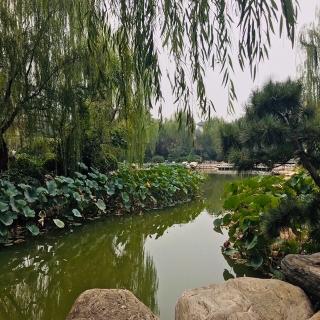 《惠崇春江晚景》