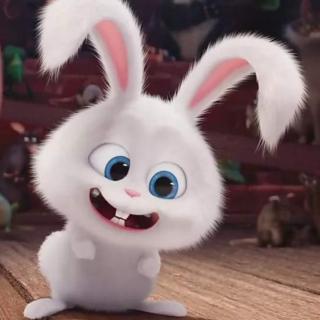 The secret life of pets Day6