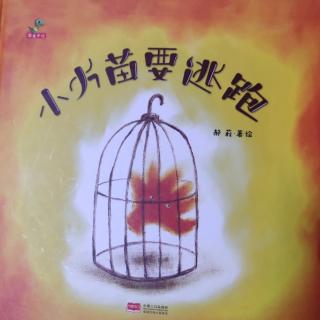 卡蒙加幼教集团范老师－《小火苗要逃跑》