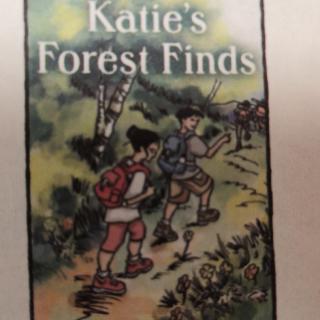 Katie's Forest Finds