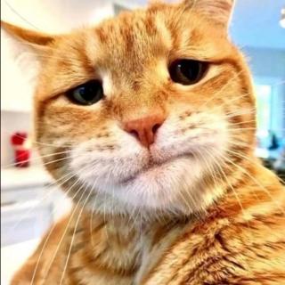 余生还长,别太难过