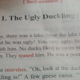 the ugly ducking