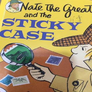 Nate sticky case1~35