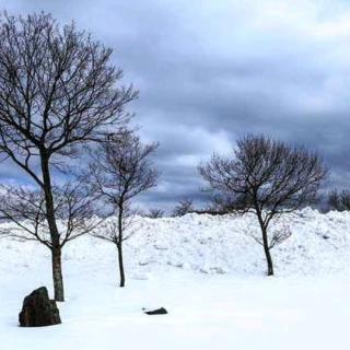 雪落山村  作者：任礼  朗诵：江帆