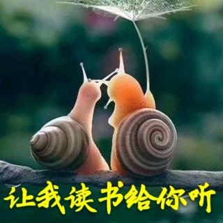 【小故事大道理】14、蜗牛玫瑰树