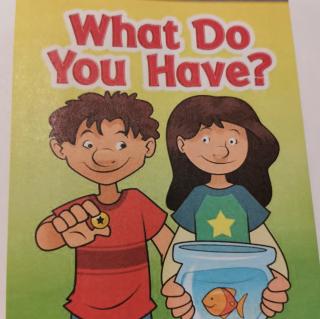 what do you have?