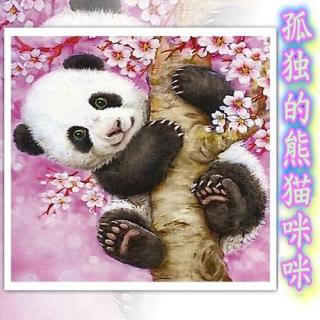 孤独的熊猫咪咪🐼