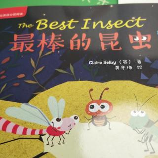 the best insect